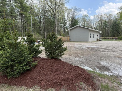 Wolf Lake - Lake County Home For Sale in Baldwin Michigan