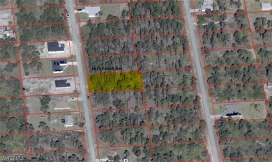 Lehigh Acres Area Lot For Sale in Lehigh Acres Florida