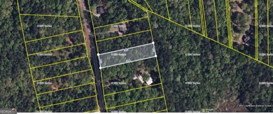 Beautiful Lot on West Point Lake Estates Discover tranquility - photo 2