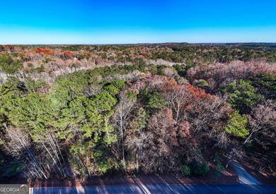 Beautiful Lot on West Point Lake Estates Discover tranquility - photo 4