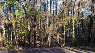 Beautiful Lot on West Point Lake Estates Discover tranquility - photo 5