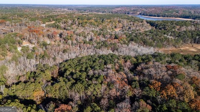 Beautiful Lot on West Point Lake Estates Discover tranquility - photo 6