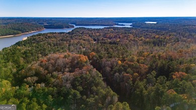 Beautiful Lot on West Point Lake Estates Discover tranquility - photo 9