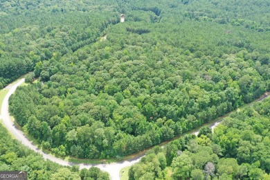 (private lake, pond, creek) Lot For Sale in Lagrange Georgia