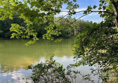 Welcome to the desirable Lake Adger Community! This 1.10 ac - photo 1