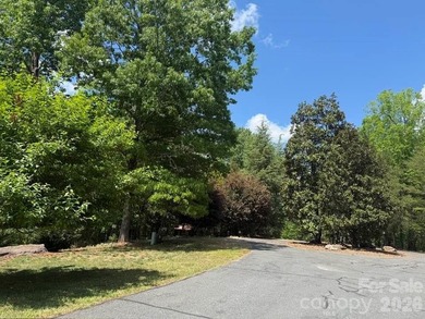 Welcome to the desirable Lake Adger Community! This 1.10 ac - photo 2