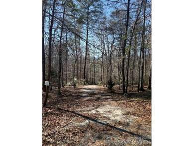 Welcome to the desirable Lake Adger Community! This 1.10 ac - photo 4