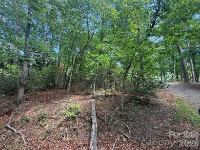 Welcome to the desirable Lake Adger Community! This 1.10 ac - photo 5