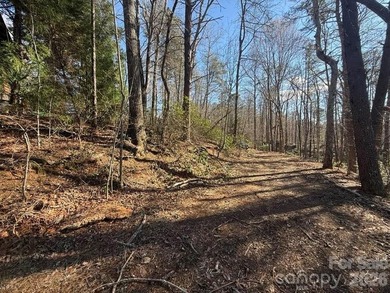 Welcome to the desirable Lake Adger Community! This 1.10 ac - photo 7