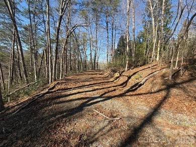 Welcome to the desirable Lake Adger Community! This 1.10 ac - photo 9