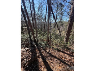 Welcome to the desirable Lake Adger Community! This 1.10 ac - photo 10