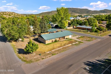 (private lake, pond, creek) Home For Sale in Eagar Arizona