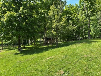 50 acres of peace, quiet and serenity. This 50 acre plot of land - photo 7