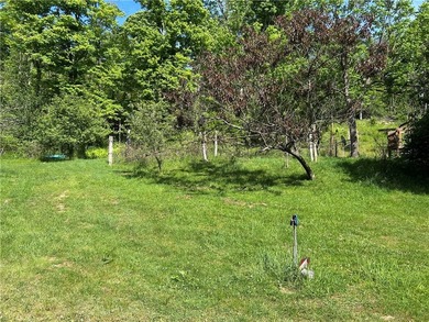50 acres of peace, quiet and serenity. This 50 acre plot of land - photo 8