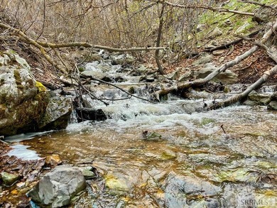 The Davis Lodge at Loafer Creek Falls lies just below Clifton - photo 48