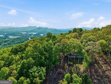 Perched high above Lake Chatuge and overlooking the charming - photo 6