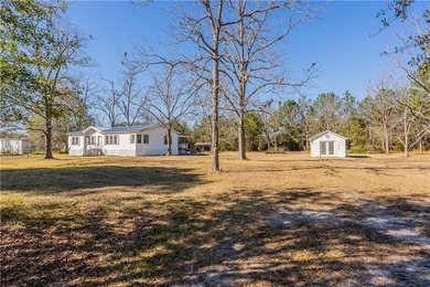 (private lake, pond, coastal) Home For Sale in Waycross Georgia