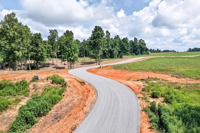 Discover Sandstone Heights, Pickett County's newest premier - photo 11