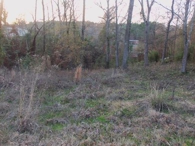 FLOREY LAKE IS A PRIVATE LAKE EAST OF KILGORE. TWO LOTS WITH - photo 1