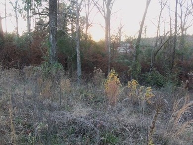 FLOREY LAKE IS A PRIVATE LAKE EAST OF KILGORE. TWO LOTS WITH - photo 3