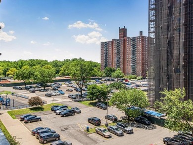 Great Opportunity to own this gorgeous 2 Bedroom 1 Bath co op - photo 11