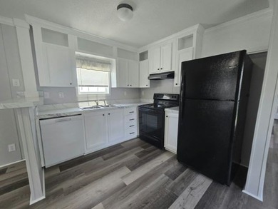 Find your place in the world at Silver Lake, a well-maintained - photo 2