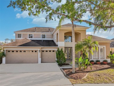 Lake Home For Sale in Tampa, Florida
