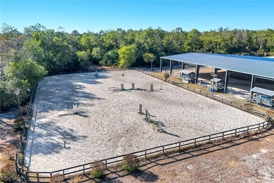 Luxury Equestrian Estate Near Naples Welcome to a rare - photo 35