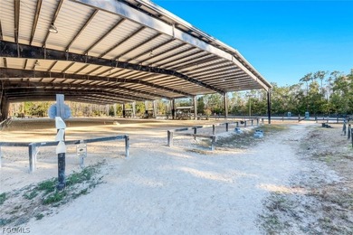 Luxury Equestrian Estate Near Naples Welcome to a rare - photo 38