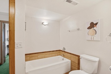 Tranquility, breathtaking lake views, privacy, and Northwoods - photo 38