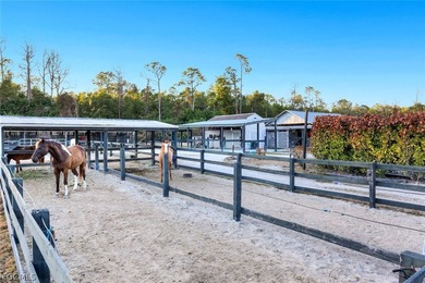 Luxury Equestrian Estate Near Naples Welcome to a rare - photo 41