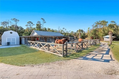 Luxury Equestrian Estate Near Naples Welcome to a rare - photo 45