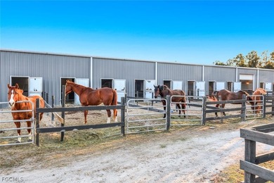 Luxury Equestrian Estate Near Naples Welcome to a rare - photo 46