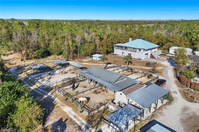 Luxury Equestrian Estate Near Naples Welcome to a rare - photo 48