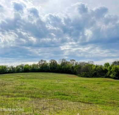 Lake Acreage For Sale in Louisville, Tennessee