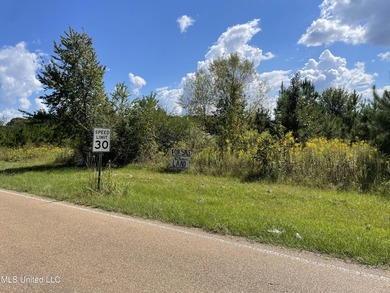 15.45 Acres in Madison County, MS. Great residential development - photo 3