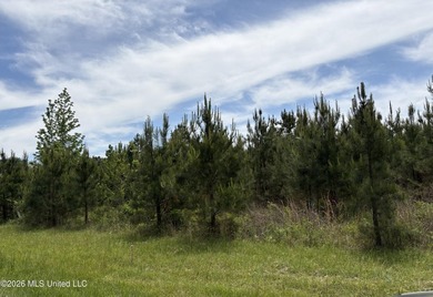 15.45 Acres in Madison County, MS. Great residential development - photo 5
