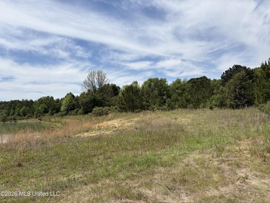 15.45 Acres in Madison County, MS. Great residential development - photo 7