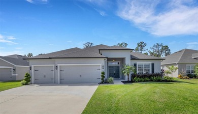 (private lake, pond, coastal) Home For Sale in Mulberry Florida