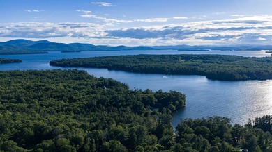 A truly rare offering on the shores of Winter Harbor, this - photo 46
