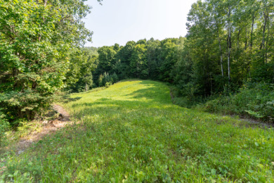 Hunting Paradise on Star Lake in Hayward, WI - photo 18