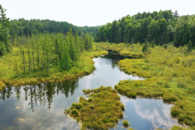 Hunting Paradise on Star Lake in Hayward, WI - photo 23