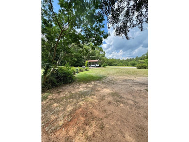 This 3/2 SWGA home is centrally located 10 miles south of - photo 28