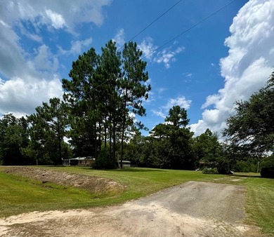 This 3/2 SWGA home is centrally located 10 miles south of - photo 29