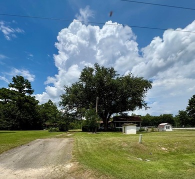 This 3/2 SWGA home is centrally located 10 miles south of - photo 30