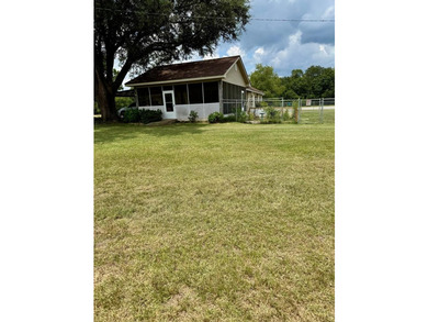 This 3/2 SWGA home is centrally located 10 miles south of - photo 31