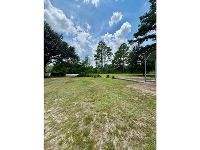 This 3/2 SWGA home is centrally located 10 miles south of - photo 34