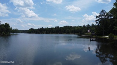 Nestled along the edge of beautiful Lake Sinclair, this recently - photo 37