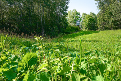 Hunting Paradise on Star Lake in Hayward, WI - photo 25