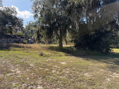 (private lake, pond, coastal) Lot For Sale in Mascotte Florida